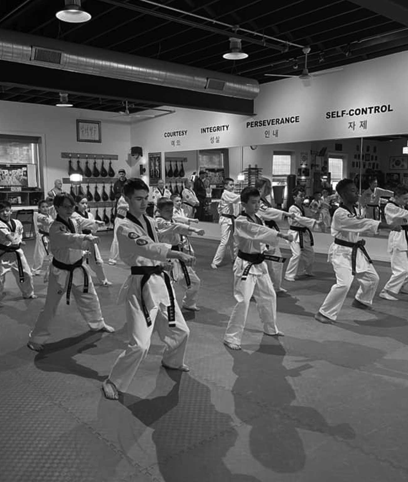 teen-tkd teen youth training taekwondo